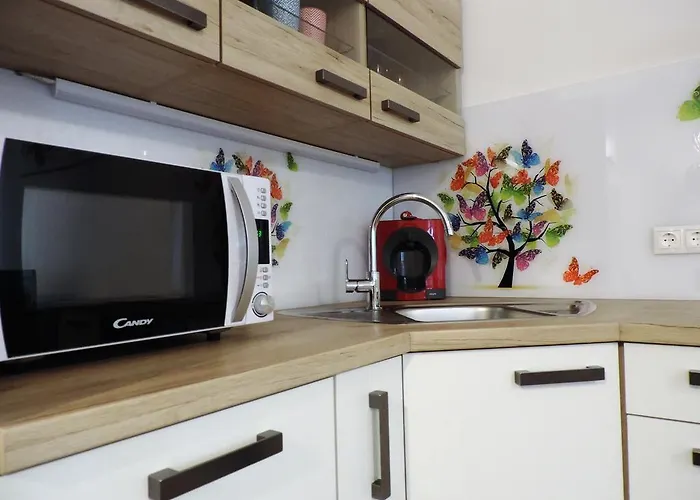 Apartament Tara Lublana